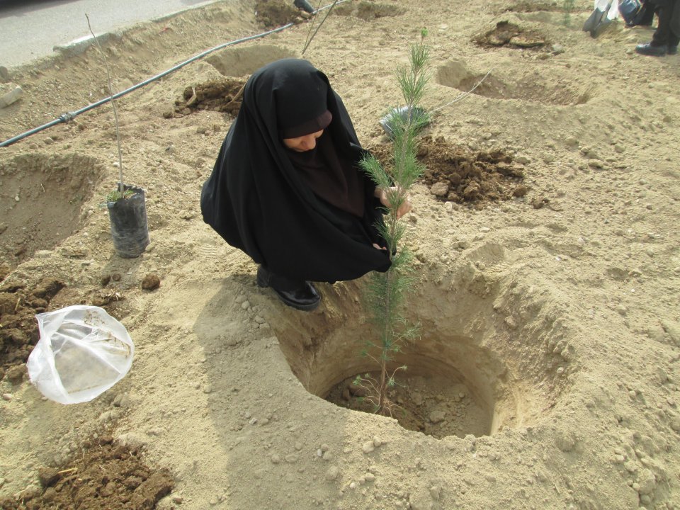 گزارش هفته درختکاری و کاشت نهال توسط اساتید و طلاب سطح 2 حوزه علمیه عصمتیه سمنان